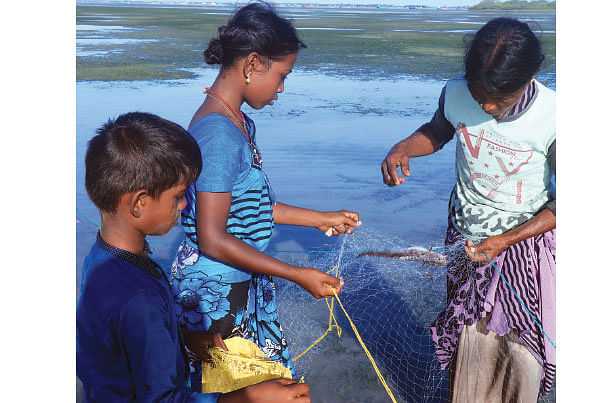 நம்புசெல்வம்