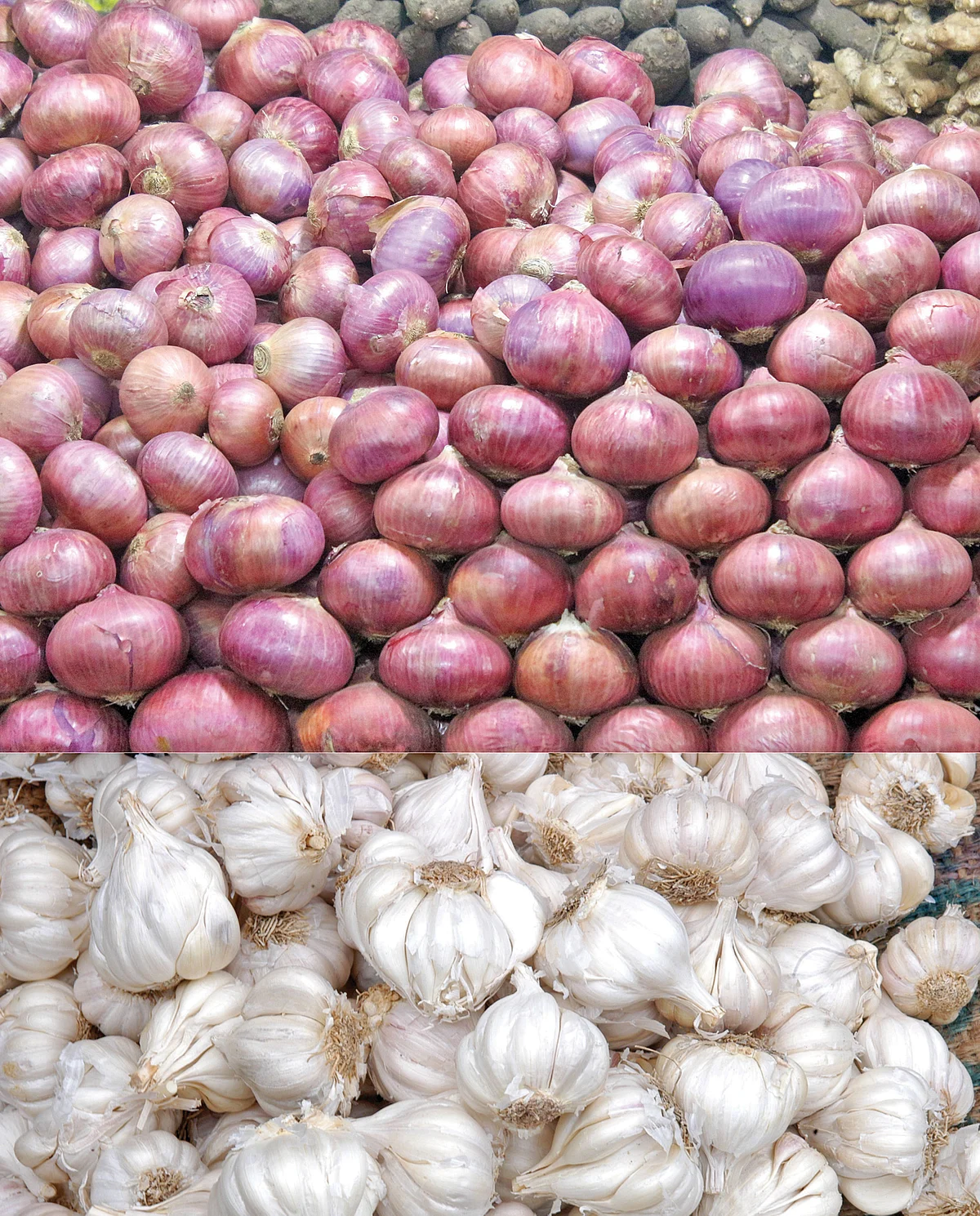 பா.ஜ.க-வை மிரட்டும் வெங்காயம், பூண்டு!