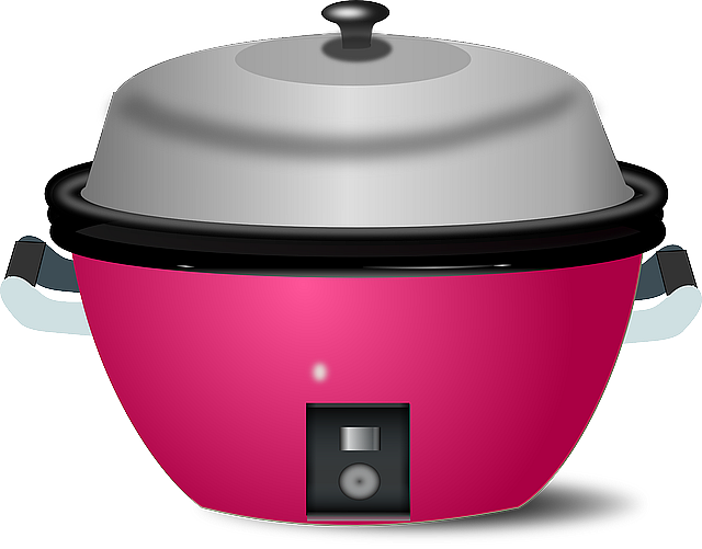 Rice cooker