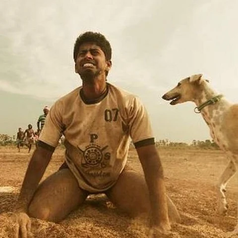 பரியேறும் பெருமாள்
