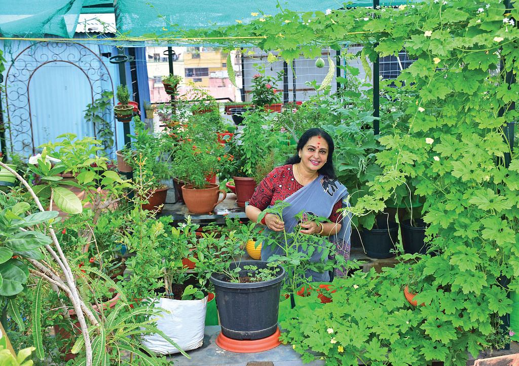 பசுமை சூழ்ந்த மாடித்தோட்டச் செடிகளுக்கு மத்தியில் நடிகை சீதா