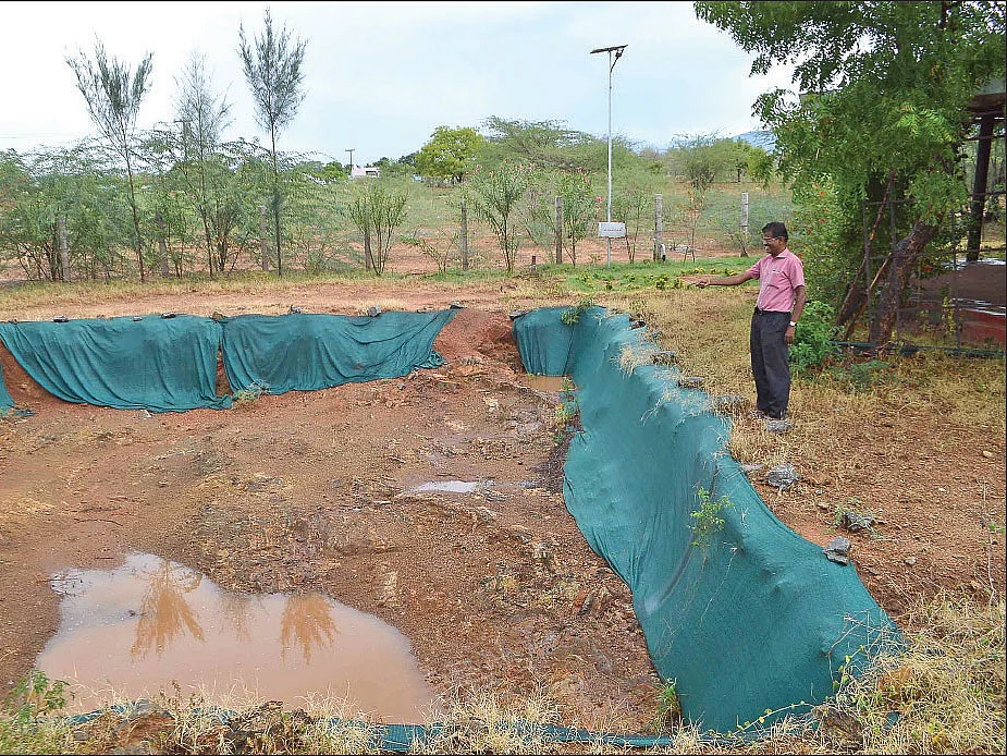 பெரிய வரப்புகள், தடுப்பணைகள், பண்ணைக்குட்டைகள்; மானாவாரி நிலத்தில் மழைநீரைச் சேமிக்கும் உத்திகள்!