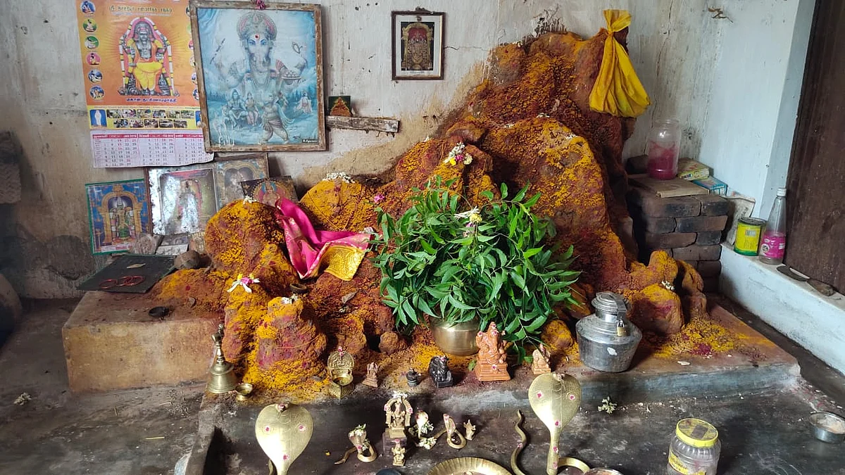 வீட்டுக்குள் உள்ள புற்று