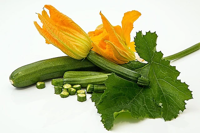 Cucumber