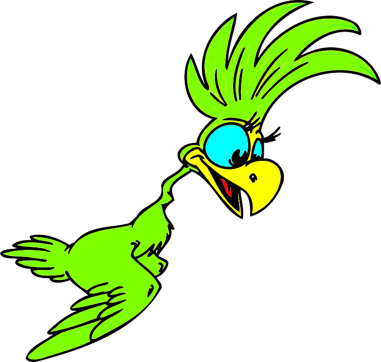parrot