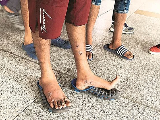 `அடர்ந்த காட்டுப்பயணம்; உணவு இல்லை!’- மெக்சிகோ வழியாக அமெரிக்கா செல்ல முயன்ற இந்தியர்கள் கண்ணீர்