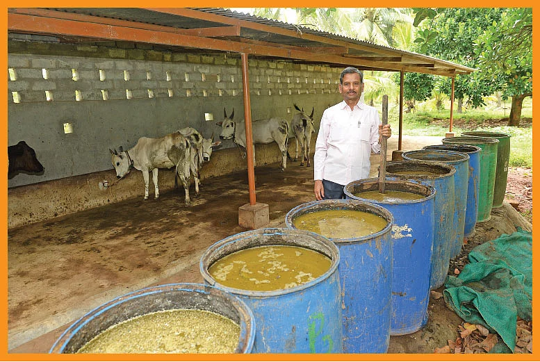 ஜீவாமிர்தக் கரைசல்களுடன் கோபால்