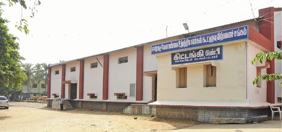 7 ஆண்டுகளாக உயராத மஞ்சள் விலை! - மாற்றுப் பயிர் நாடும் விவசாயிகள்!