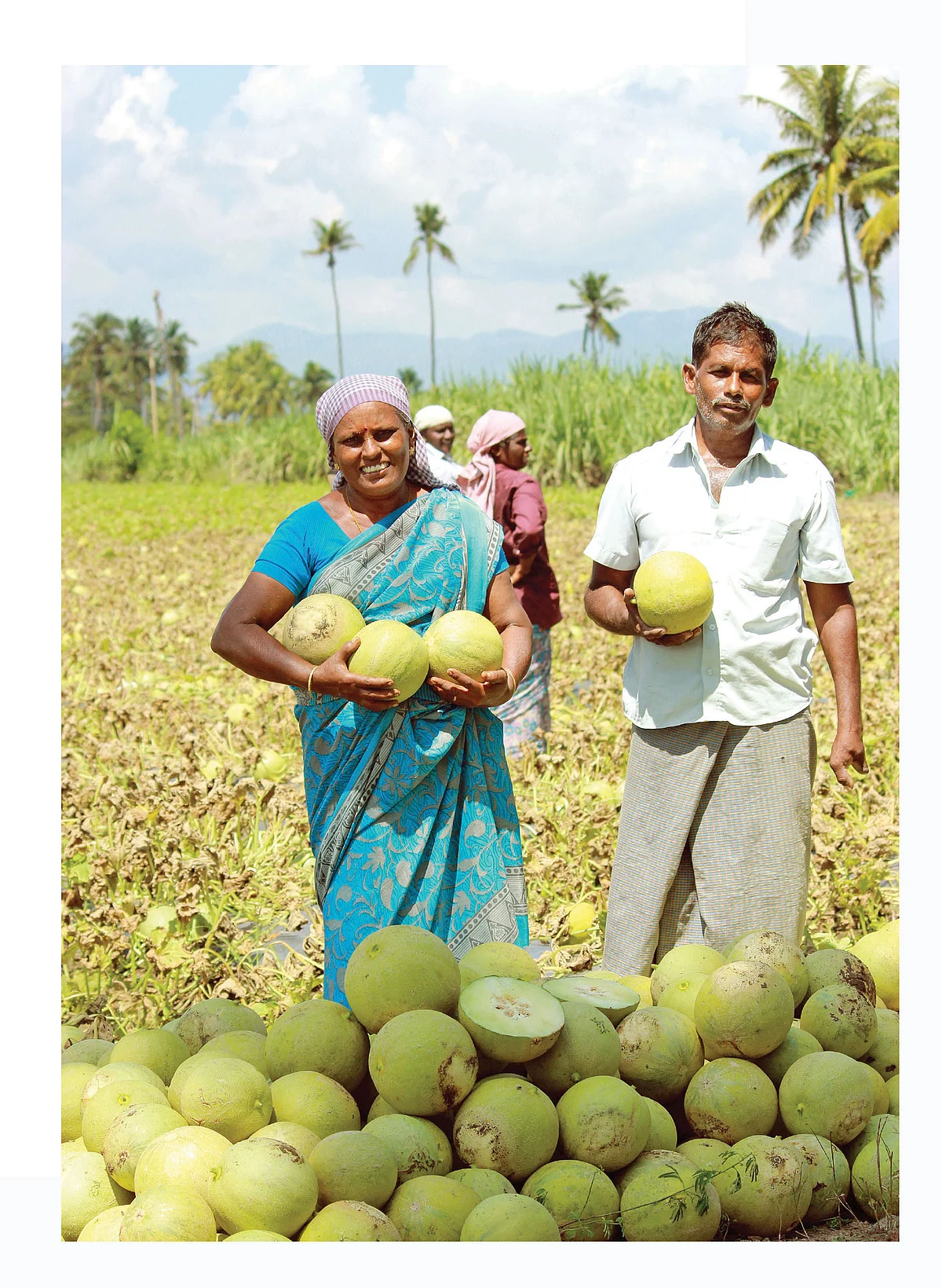 முலாம்பழத்துடன் அசோக்குமாருடைய
அப்பா கிருஷ்ணமூர்த்தி/அம்மா கிருஷ்ணவேணி