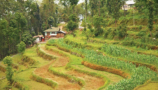 இயற்கை விவசாயம்