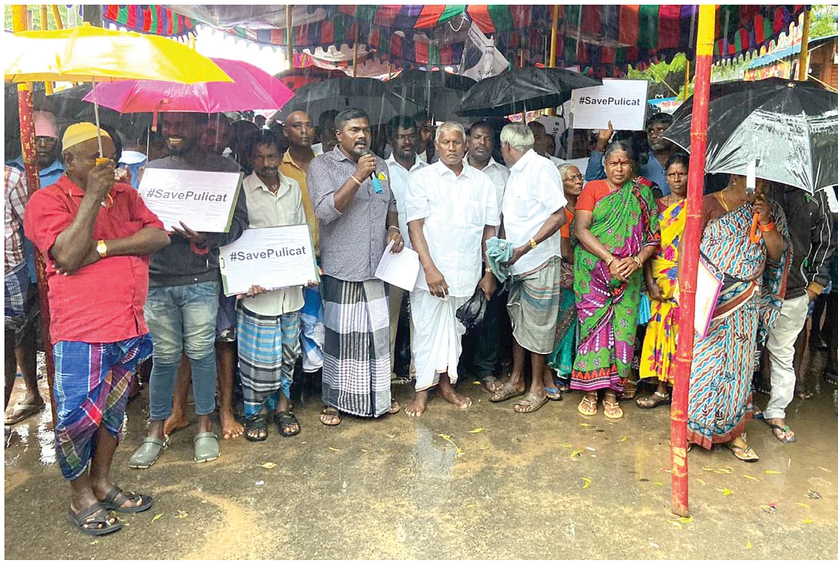 “கொசஸ்தலை ஆறு கடலோடு கலக்கும்... பொன்னேரி நீர்க்கல்லறையாகும்!”
