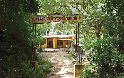 மனித வாடை அறியா காட்டுக்கு நடுவில்
செண்பகா தேவி அம்மன் கோயில்...