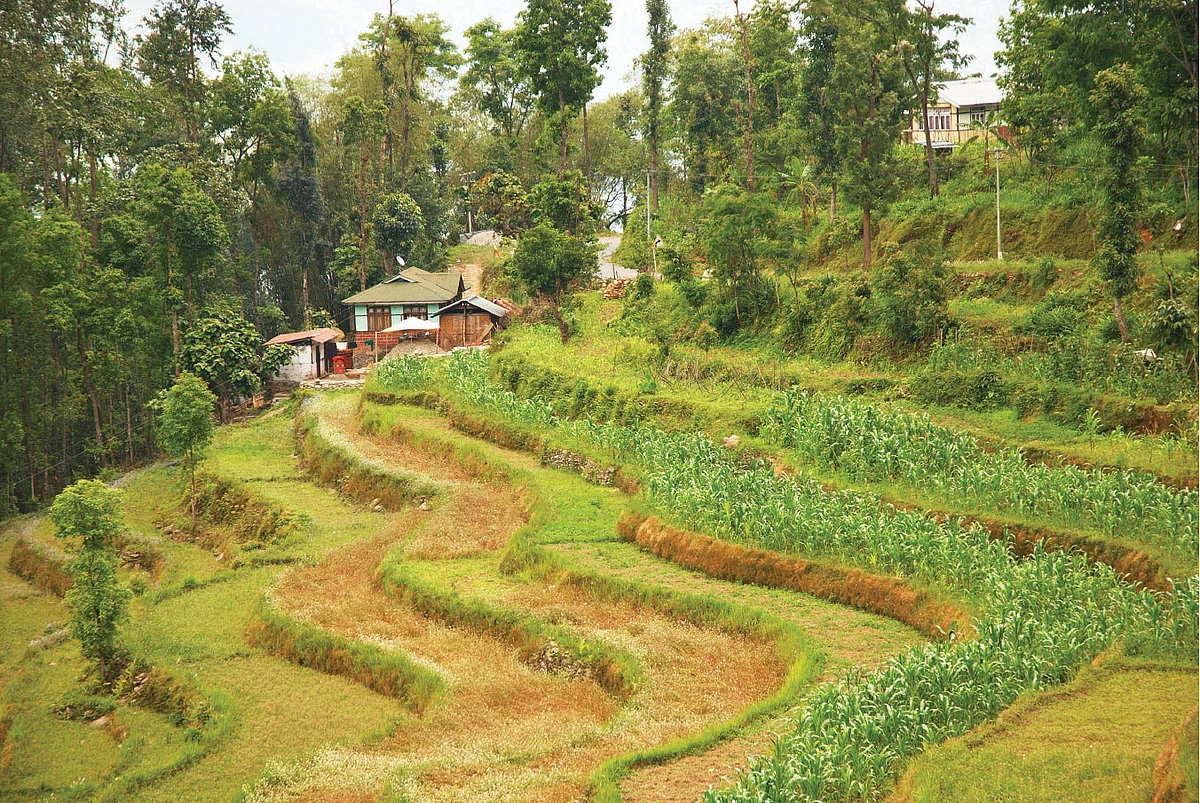 organic farming