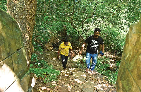 அகத்தியர் போன பாதையில் குளு குளு ட்ரெக்கிங்...