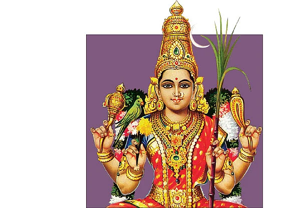 காஞ்சி காமாட்சி