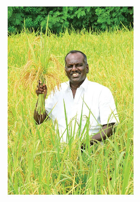 ‘சொல்லி’ அடிக்கும் ஆத்தூர் கிச்சிலிச் சம்பா!