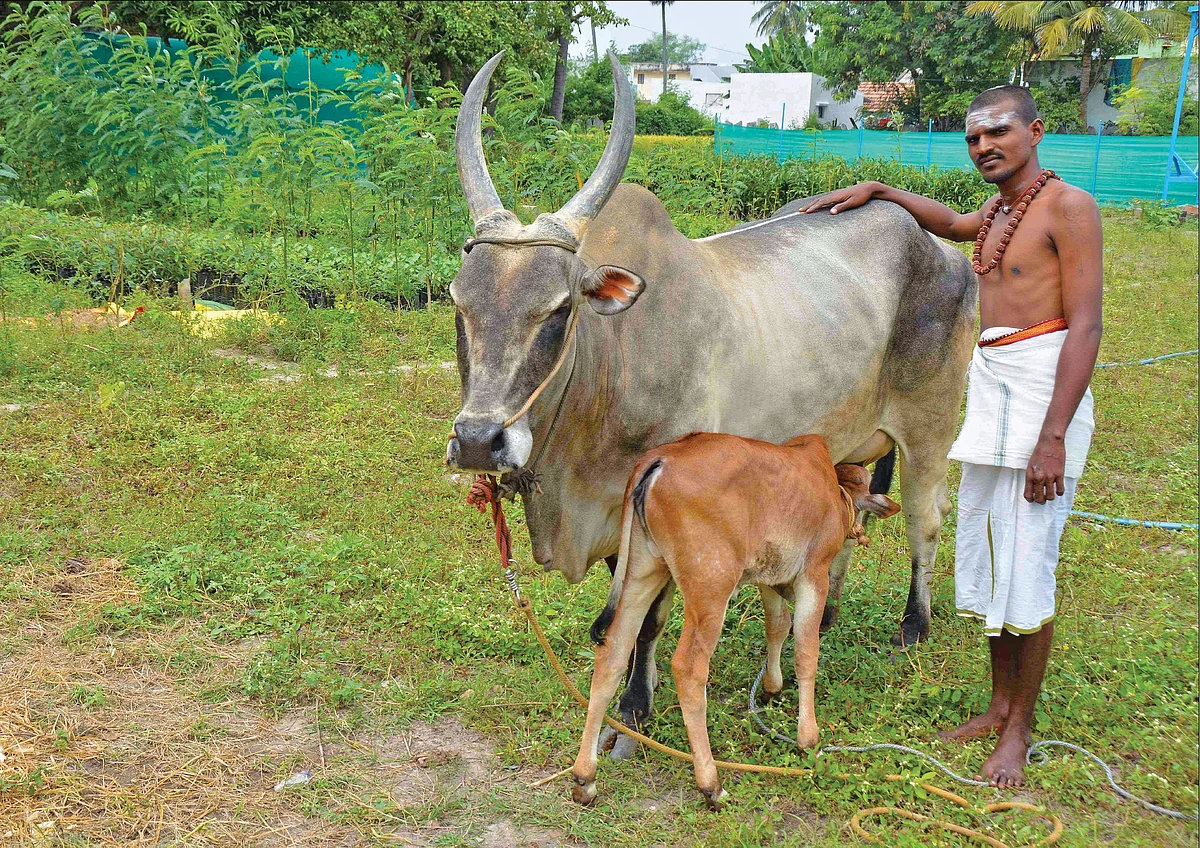 புண்ணிய புருஷர்கள் - 18
