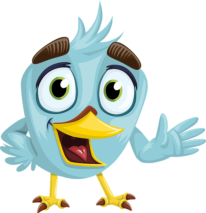 bird