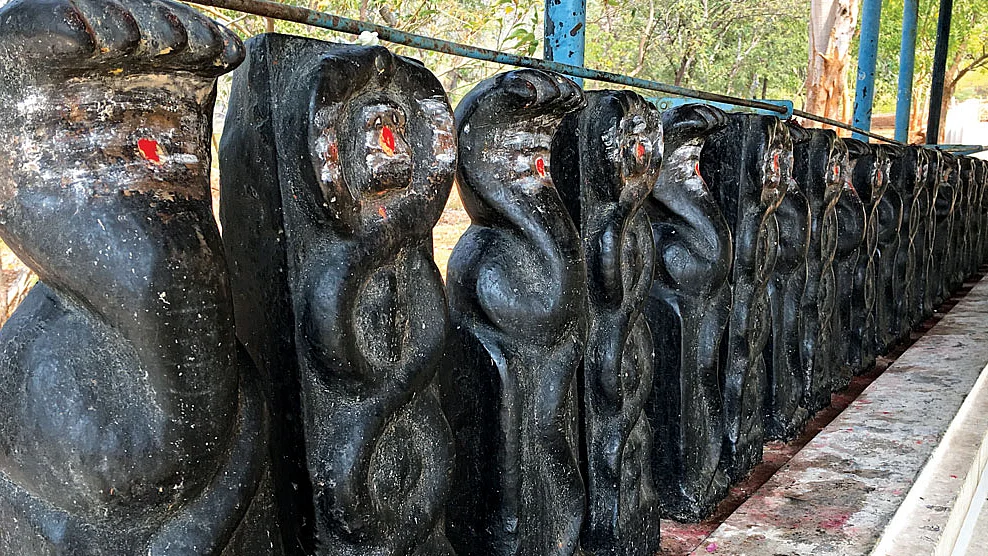 நாகதோஷம்