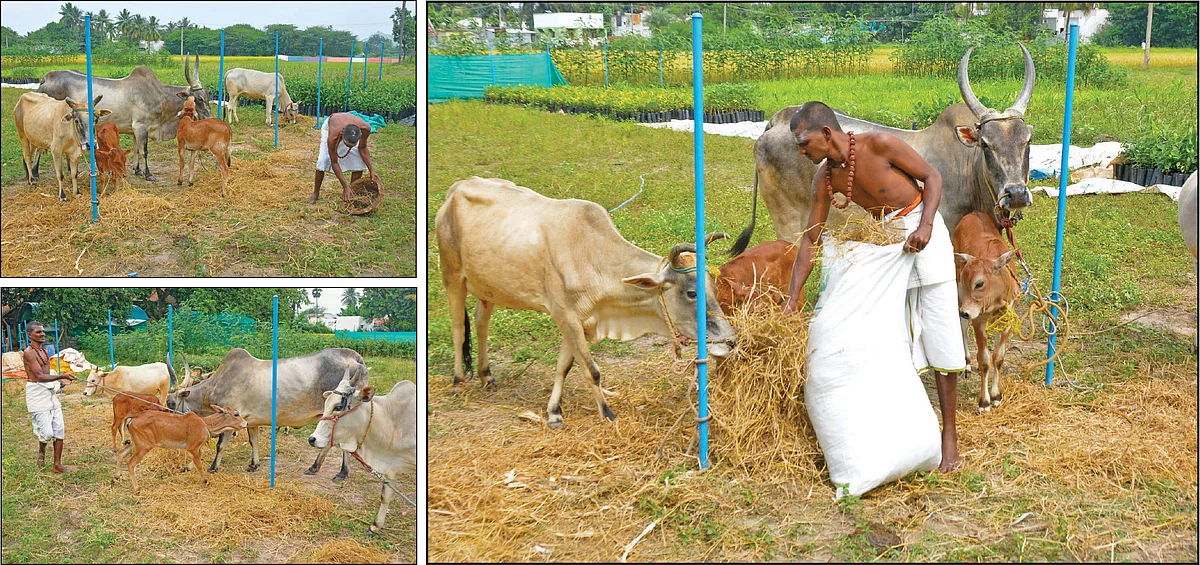 புண்ணிய புருஷர்கள் - 18