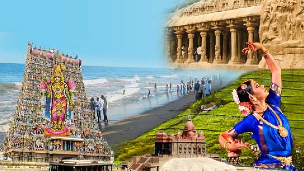 சுற்றுலா பகுதி