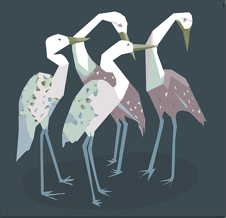bird
