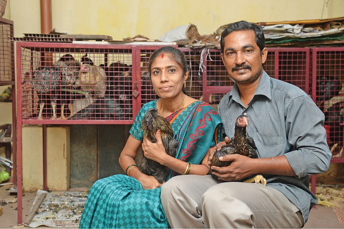 கோழிகளுடன் நித்தியானந்தம்-விஜயபிரியா