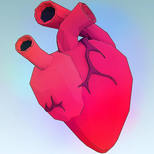 Heart