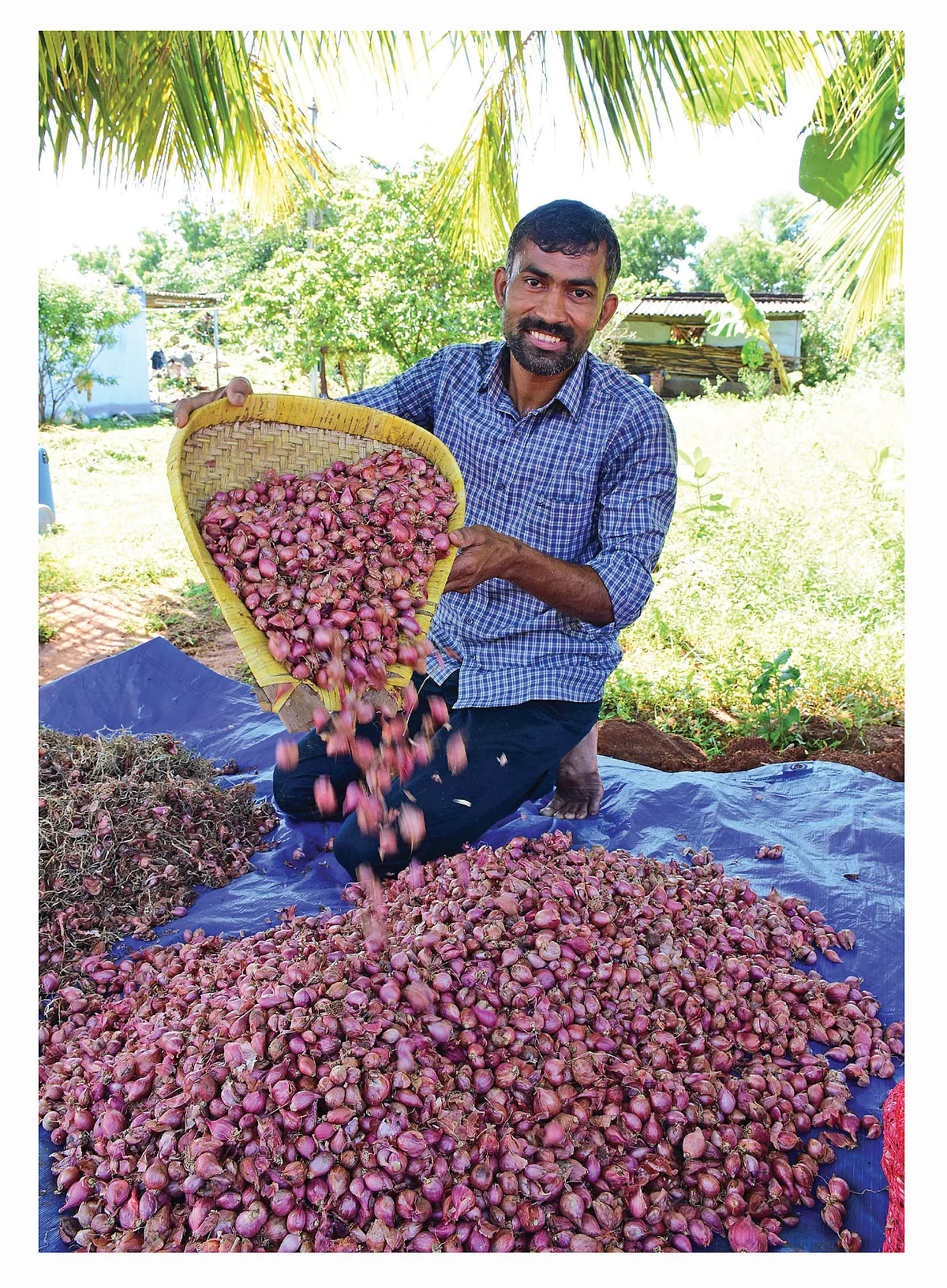 அறுவடை செய்த வெங்காயத்துடன் சுரேஷ்குமார்
