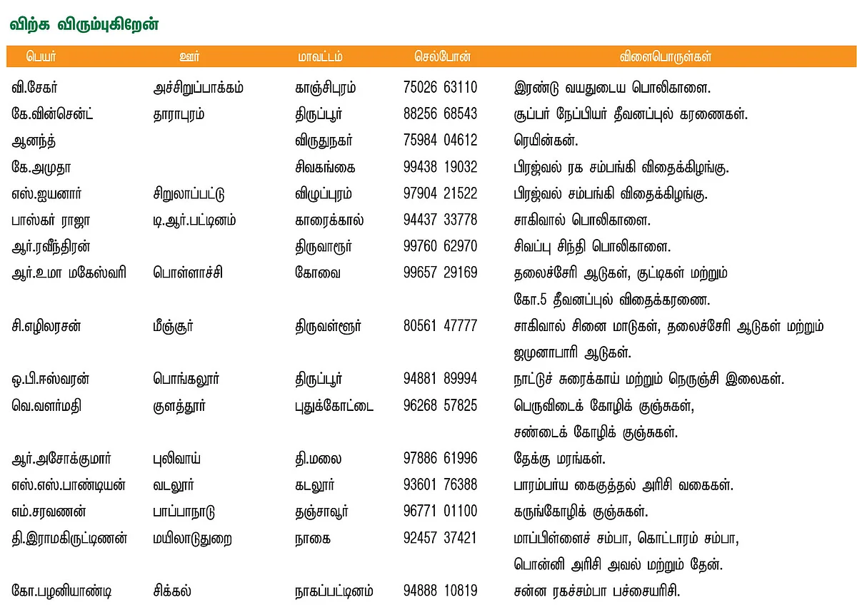 பசுமை சந்தை