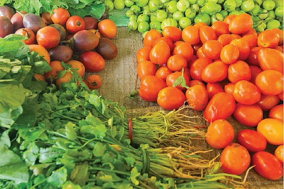 Vegetable