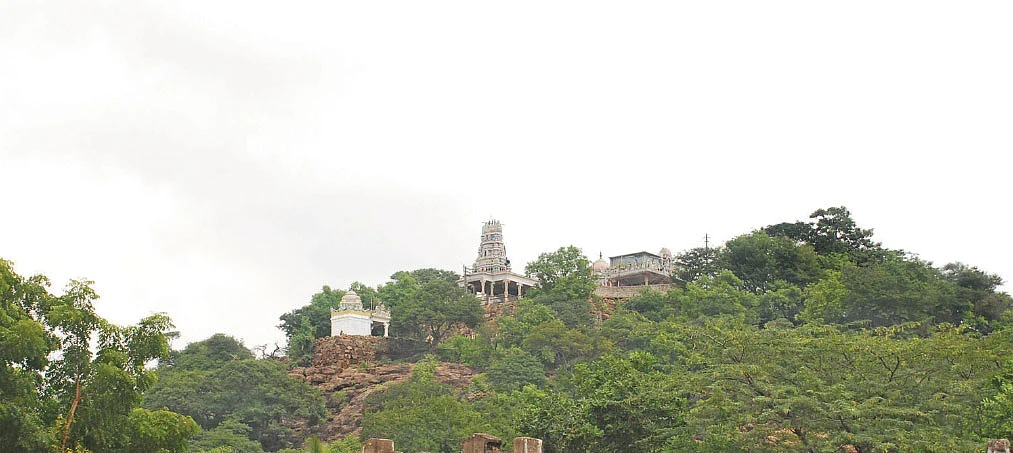 செட்டிகுளம்