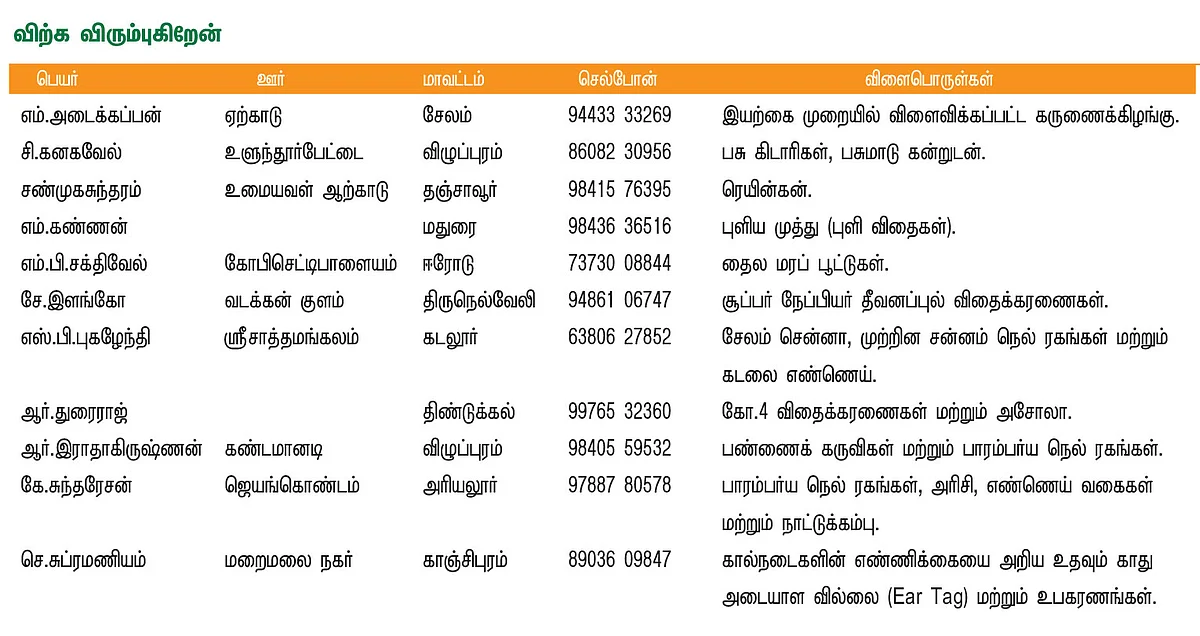 பசுமை சந்தை