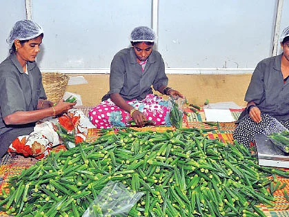 தக்காளி 20 ரூபாய்... கத்திரி 27 ரூபாய்... வெண்டை 22 ரூபாய்!