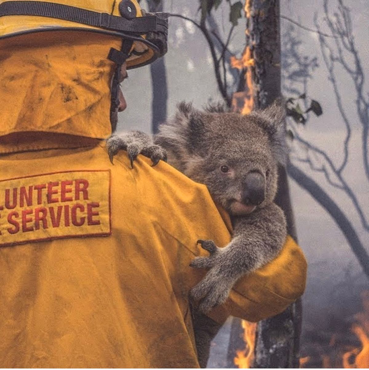 AUSTRALIA FIRE