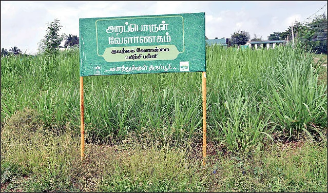 வாட்ஸ் அப்பில் காய்கறி விற்பனை! - தொழிலதிபரின் இயற்கை விவசாயம்!