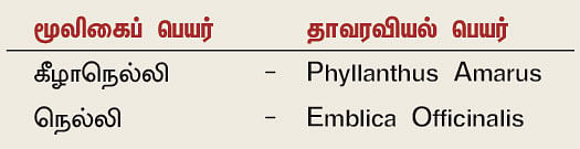 நல்மருந்து 2.0 - காமாலை போக்கும் கீழாநெல்லி! - ஆயுளை அதிகரிக்கும் நெல்லி!