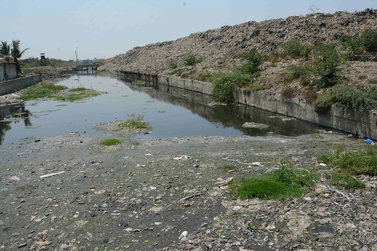 கூவம் ஆறு