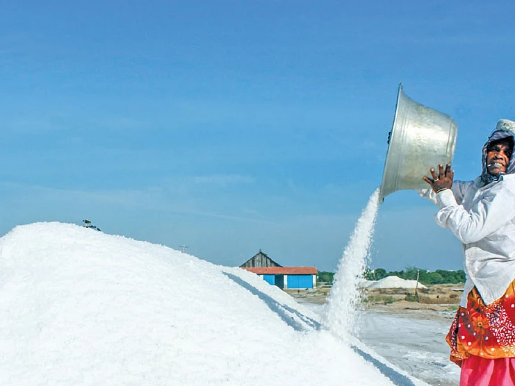 புத்தம் புது காலை : உங்கள் உப்பில் ஏன் அயோடின் இருக்கவேண்டும்? #6AMClub