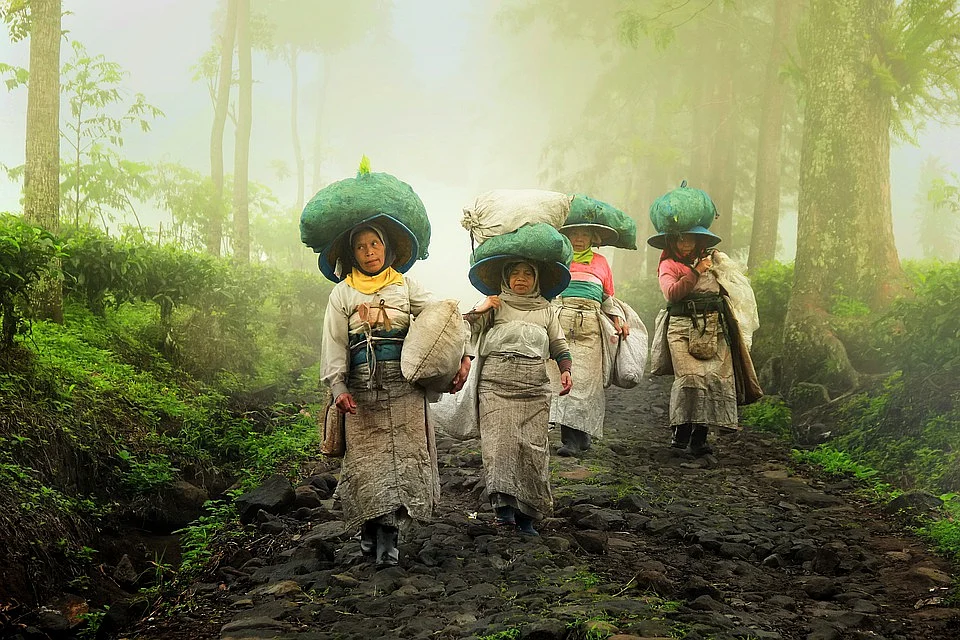 Representational Image