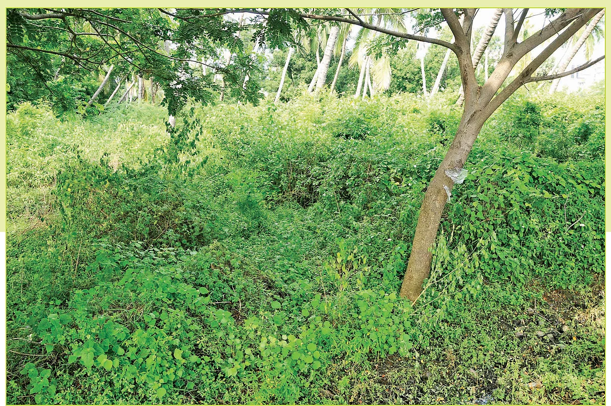 சிறுசேரி ஐ.டி பார்க்
