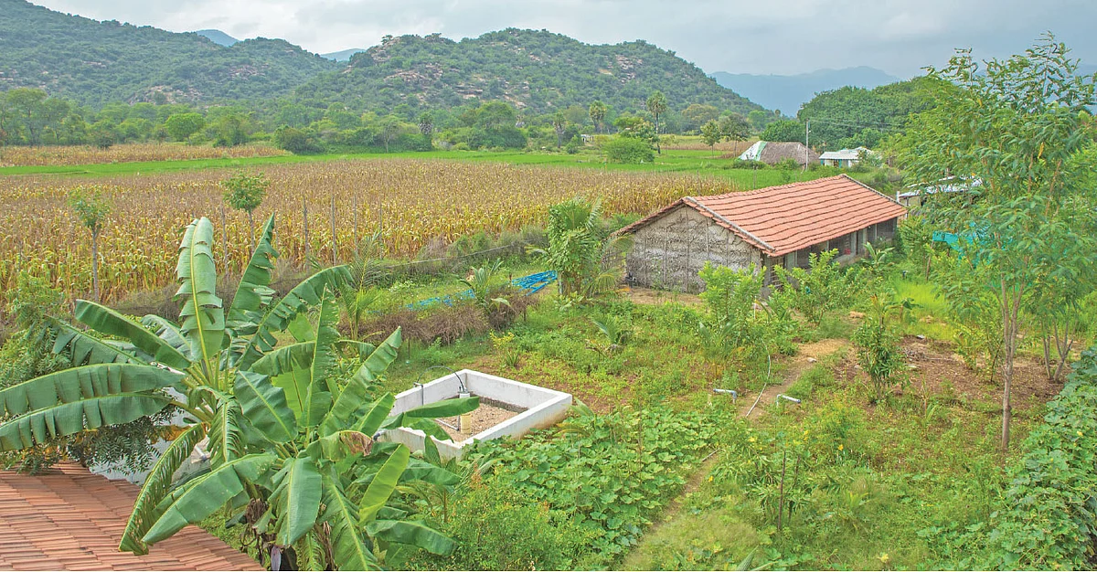 போர்வெல் தண்ணீரில் செழிக்கும் தோட்டம்