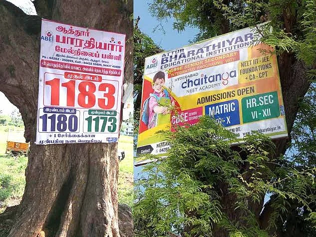 `மரங்களில் ஆணி அடிப்பது பற்றி புகார் கொடுத்தால் ₹5,000 பரிசு!' - தேனி தன்னார்வலர் குழு புது முயற்சி