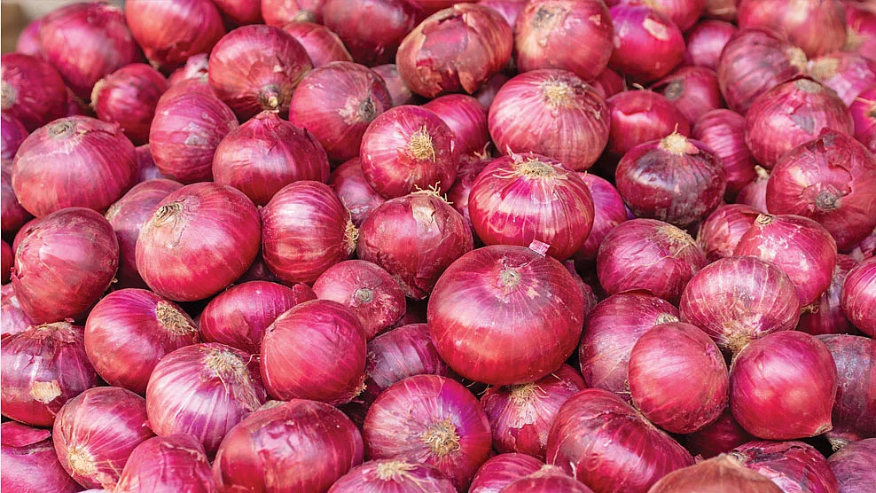 வெங்காயம்