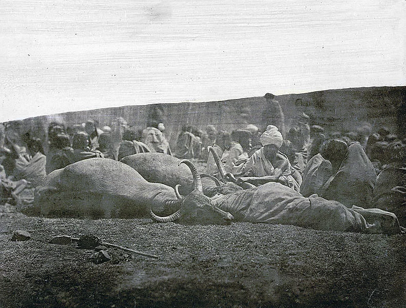 தோடர் பழங்குடிகள், 1861