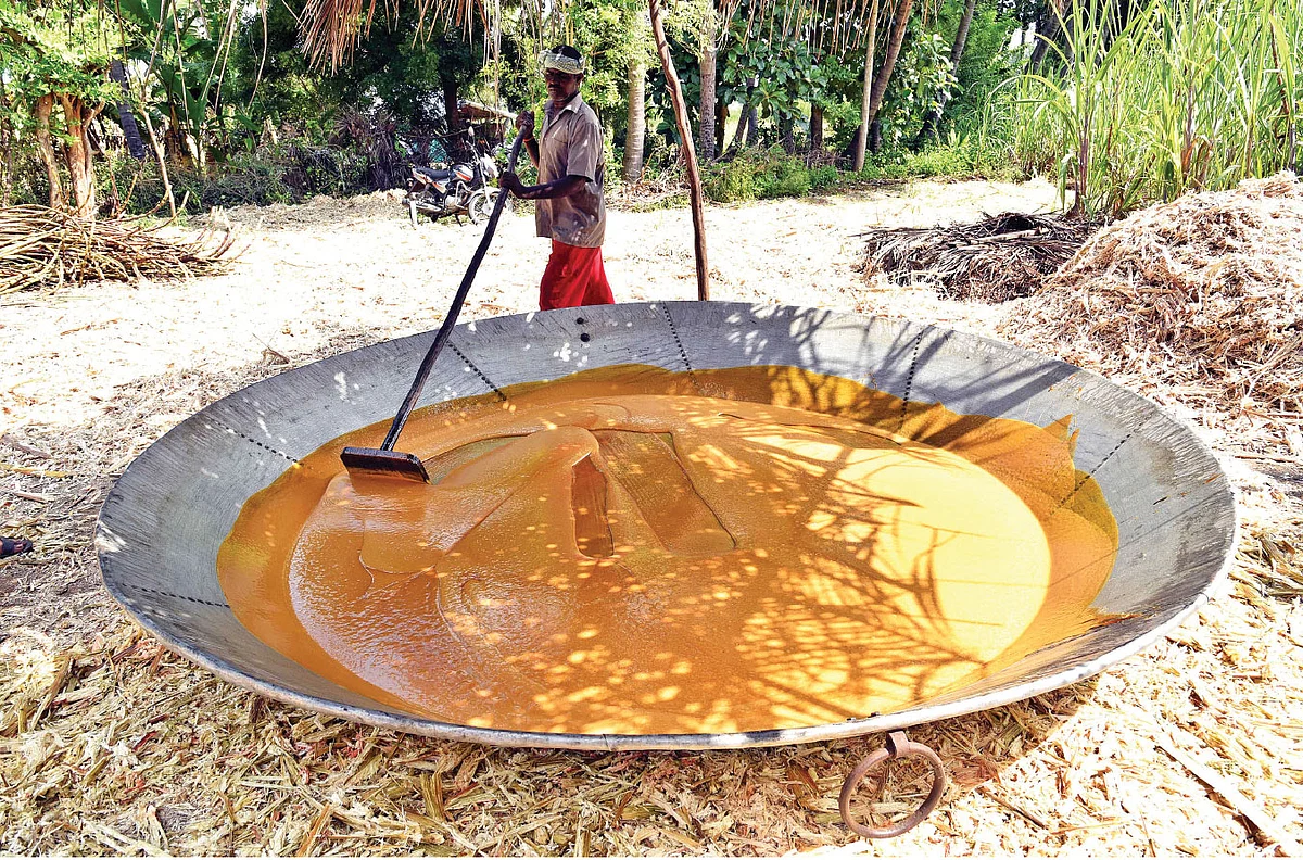 காய்ச்சிய சர்க்கரைப் பாகை உலர்த்தும் பணி