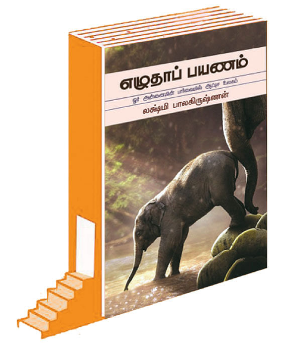 படிப்பறை