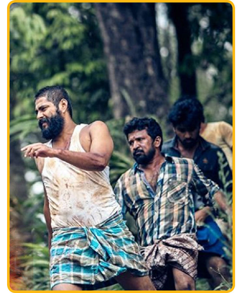 ஜல்லிக்கட்டு