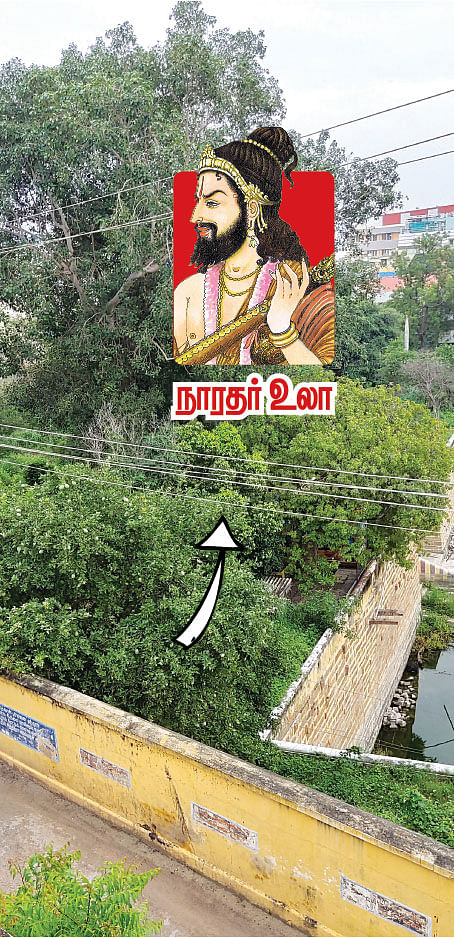நந்தவனம்