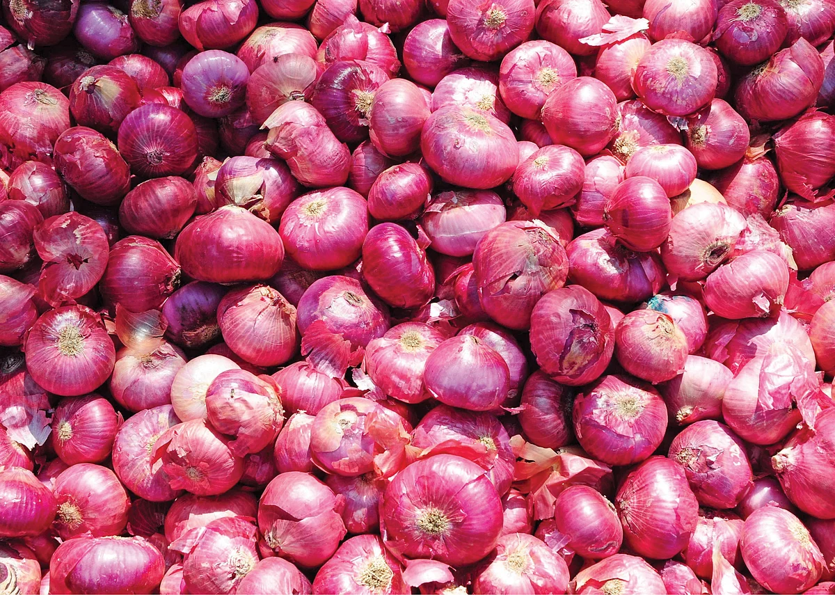 வெங்காயம்